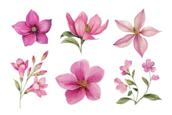 Download Pink Watercolor Flower Clipart Set - Watercolor flower Collection