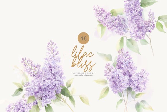 Download Lilac Florals Watercolor Flowers Png - Watercolor flower Collection