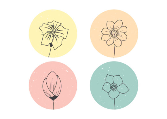 Download Hand Drawn Flowers Illustration - Premium Bundle