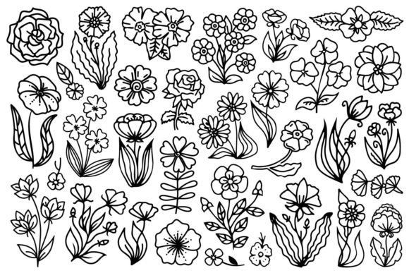 Download Hand Drawn Flowers - Premium Resources